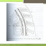 دانلود کتاب فیزیک پزشکی جان کامرون ترجمه دکتر تکاور PDF