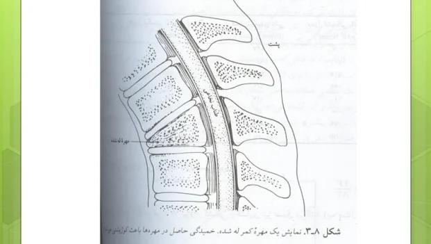 دانلود کتاب فیزیک پزشکی جان کامرون ترجمه دکتر تکاور PDF