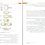 دانلود کتاب مقدمه ای بر کلون سازی ژن ها و آنالیز DNA از براون pdf