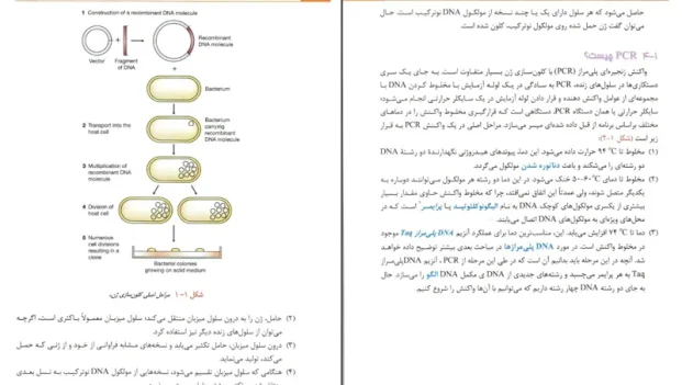 دانلود کتاب مقدمه ای بر کلون سازی ژن ها و آنالیز DNA از براون pdf
