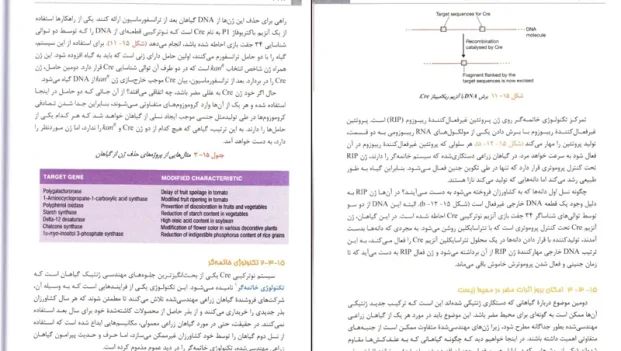 دانلود کتاب مقدمه ای بر کلون سازی ژن ها و آنالیز DNA از براون pdf