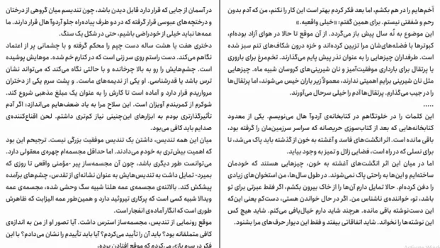 دانلود کتاب وصیت ها (جلد دوم کتاب سرگذشت ندیمه) از مارگارت اتوود pdf