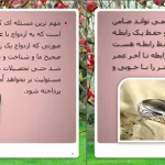 دانلود کتاب ازدواج بدون شکست از ویلیام گلسر pdf