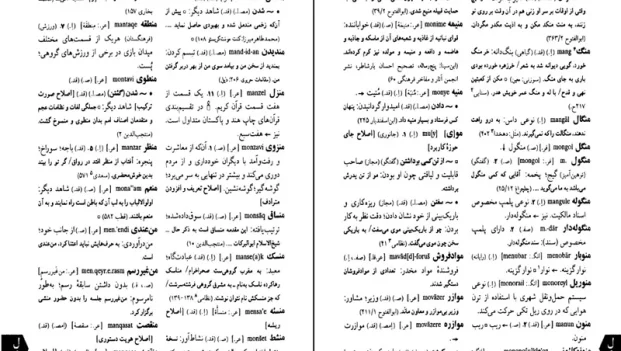 دانلود کتاب ذیل فرهنگ بزرگ سخن از حسن انوری pdf