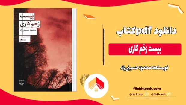 دانلود کتاب بیست زخم کاری از محمود حسینی زاد pdf