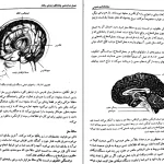 دانلود کتاب روان شناسی عمومی از حمزه گنجی pdf