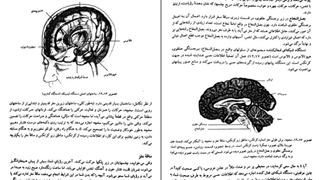 دانلود کتاب روان شناسی عمومی از حمزه گنجی pdf