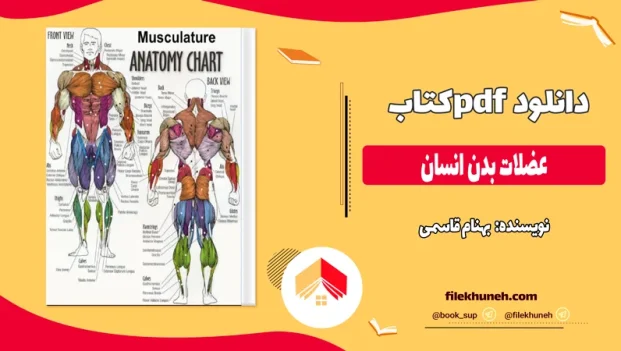 دانلود کتاب عضلات بدن انسان از بهنام قاسمی pdf