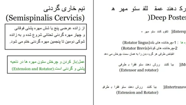 دانلود کتاب عضلات بدن انسان از بهنام قاسمی pdf