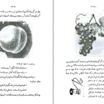 دانلود کتاب صحرای محشر اثر محمدعلی جمال زاده pdf