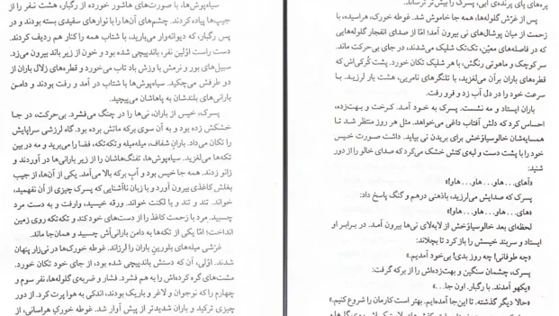دانلود کتاب درشتی اثر علی اشرف درویشیان pdf