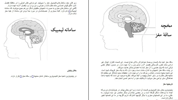 دانلود کتاب دنیای شگفت انگیز مغز اثر ماتیو مک دانلد pdf