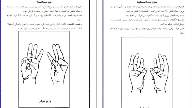 دانلود کتاب مودراها اثر گرترود هیرشی pdf