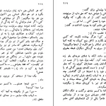 دانلود کتاب نوازنده نابینا اثر ولادیمیر کارالنکو pdf