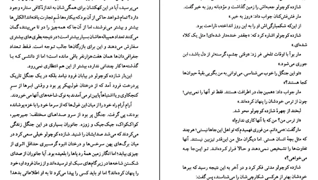 دانلود کتاب بازگشت شازده کوچولو اثر ژان پیر داوید pdf