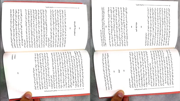 دانلود کتاب حرف هایی با دخترم درباره اقتصاد اثر یانیس وارو فاکیس pdf