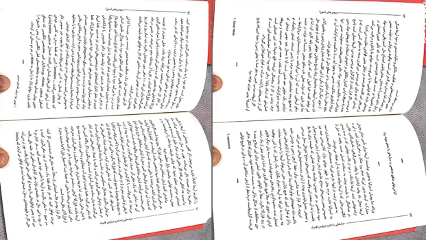 دانلود کتاب حرف هایی با دخترم درباره اقتصاد اثر یانیس وارو فاکیس pdf