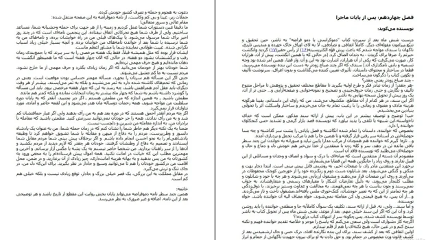 دانلود کتاب دموکراسی یا دموقراضه اثر مهدی شجاعی pdf