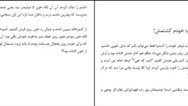 دانلود کتاب مزاحم نشو اثر فریدا مک فادن pdf