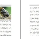 دانلود کتاب چگونه عاشقانه زندگی کنیم اثر وین دایر pdf
