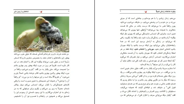 دانلود کتاب چگونه عاشقانه زندگی کنیم اثر وین دایر pdf