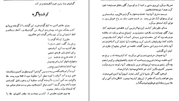 دانلود کتاب ملانصرالدین اثر آلیس گیر کلیس pdf