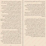 دانلود کتاب تاول اثر لوییس سکر pdf